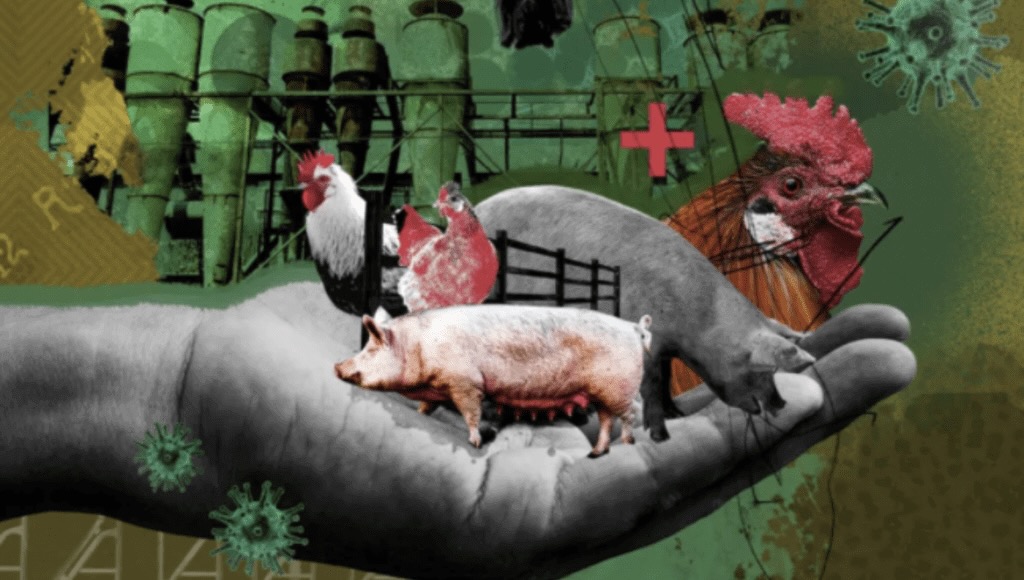 The University of Oxford and Farm Forward Discuss Pandemic Risk and ...
