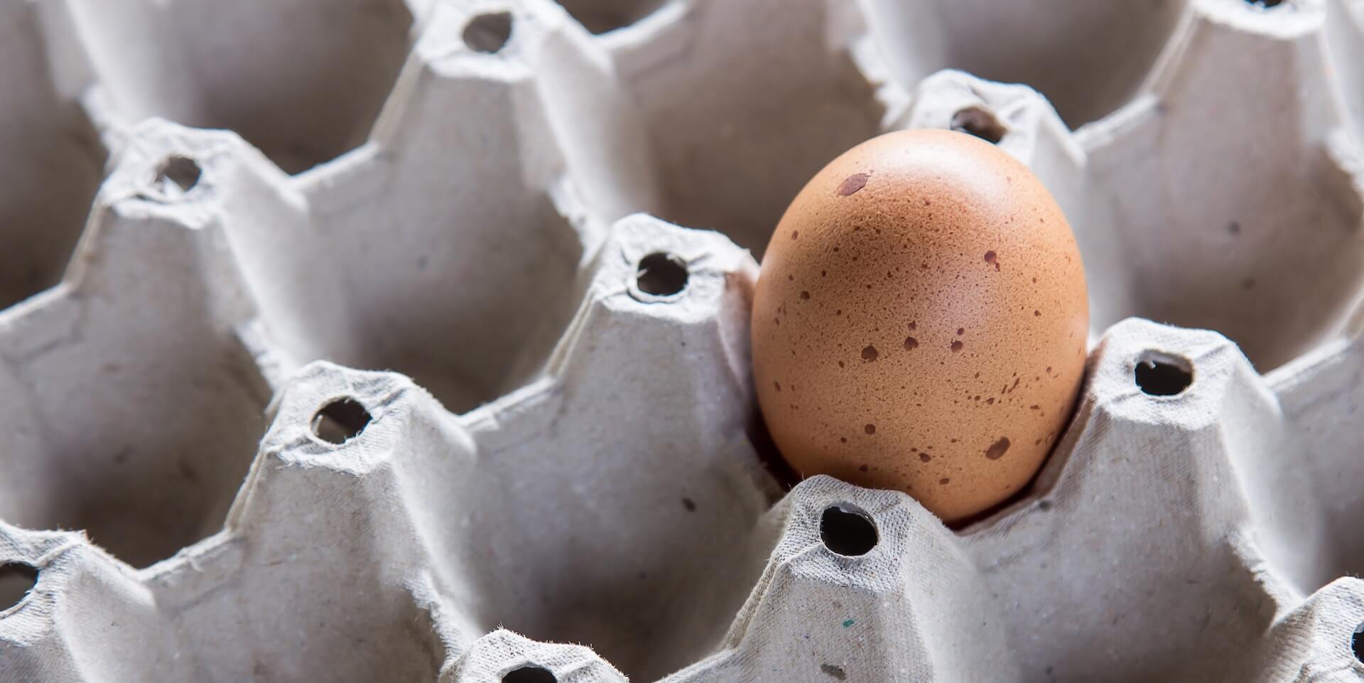 What are cage-free eggs and what does the label really mean? | Farm Forward
