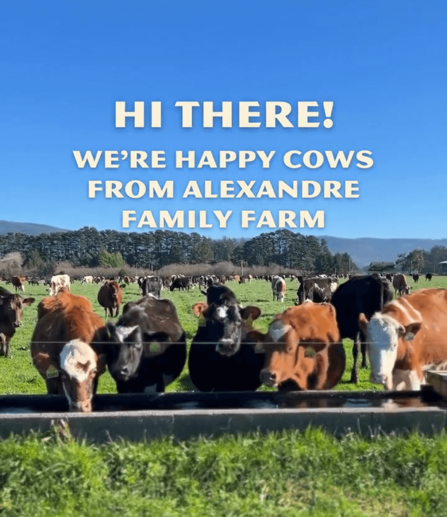 Dairy Deception: Corruption and Consumer Fraud at Alexandre Family Farm ...